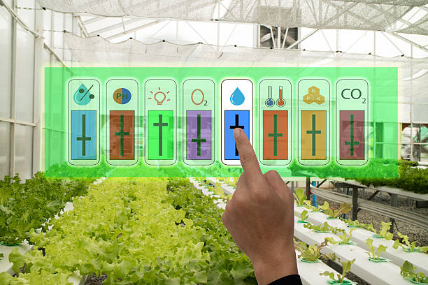 internet of things industrial agriculture and smart farming concept,farmer point hand to use augmeted reality application to control monitor and controlling conditon of vegetable in the greenhouse