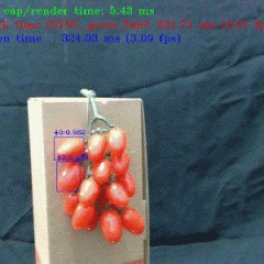 【AI_Column】如何以YOLOv3訓練自己的資料集 ─ 以小蕃茄為例