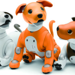 寵物型機器人，陪伴你我的生活 － Aibo & PARO