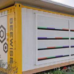 用科技拯救消失的蜜蜂：太陽能箱、3DP人工蜂巢