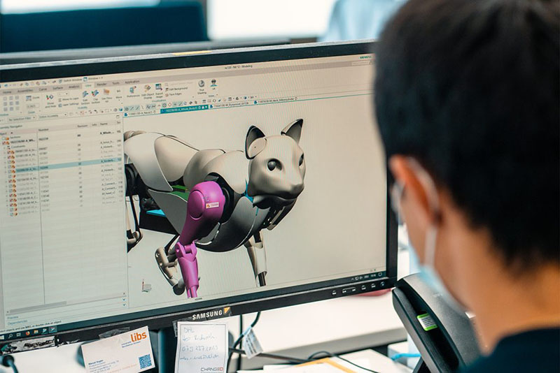 瑞士大學的Dyana計畫結合電子動畫和3D列印，創造了一個能以貓科動物的方式移動，且擁有如同貓咪情緒的機器人。