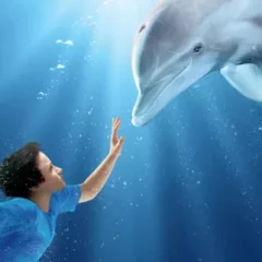 【泳不放棄】從海豚溫特看仿生帶來的身體新定義