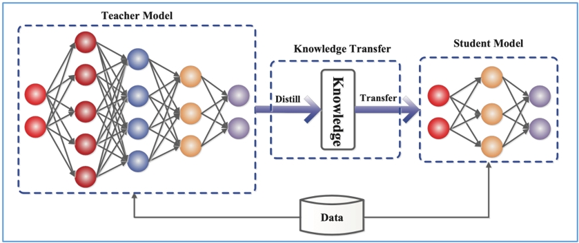 圖3 人工智慧蒸餾（也稱知識蒸餾）示意圖，透過較大的老師模型（左）表現讓較小的學生模型（右）學習，以較小的模型得到與老師相似的智慧表現，但模型得以輕量化（圖片來源：Jianping Gou, Baosheng Yu, Stephen John Maybank, Dacheng Tao ）