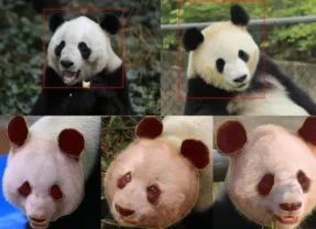 當AI「看懂動物」：開展一場無聲的保育行動！
