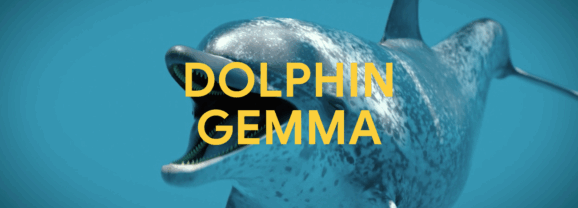 「聽懂」海豚說什麼的AI模型：DolphinGemma
