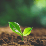 Green Coding：AI節能從程式碼做起！