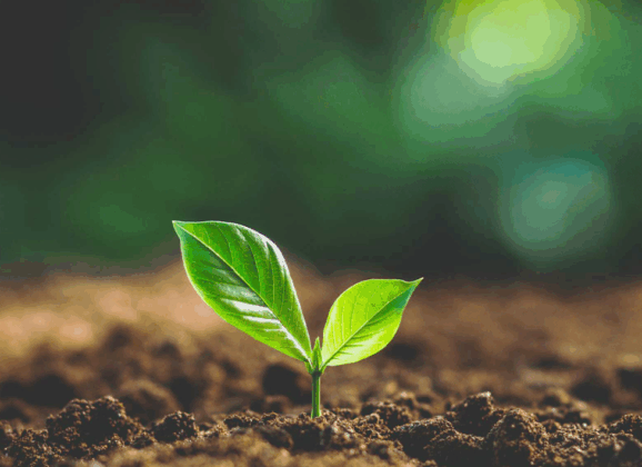 Green Coding：AI節能從程式碼做起！