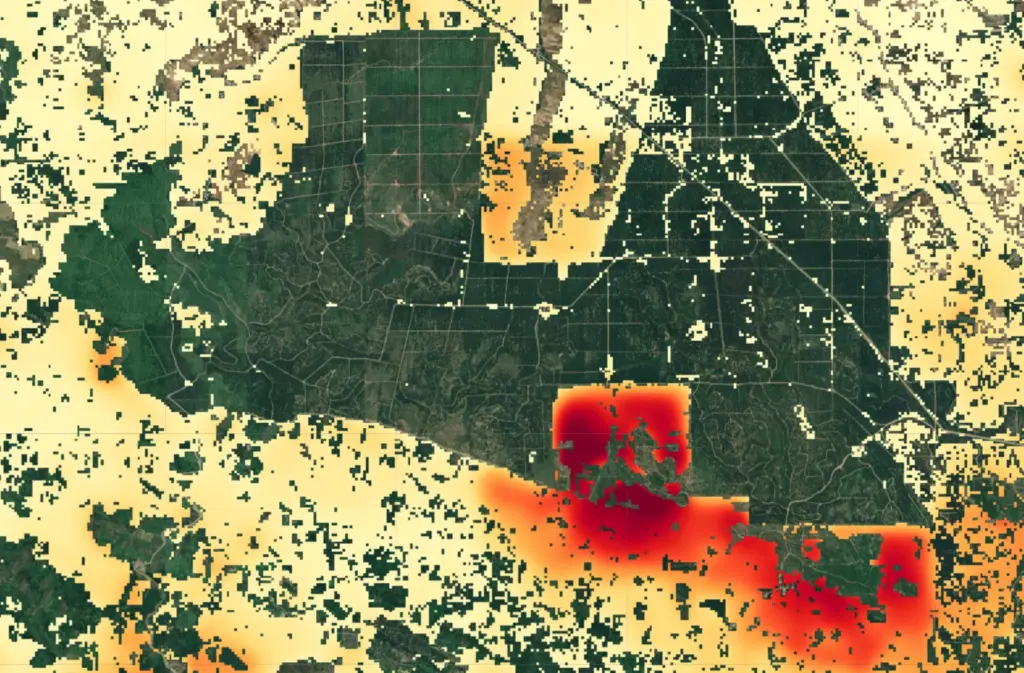 正如 Google 研究團隊在報告中所言：「如果我們能模擬環境，就能幫助它繁榮。」AI 的最終使命，或許不是取代人類智慧，而是放大我們對地球的理解。