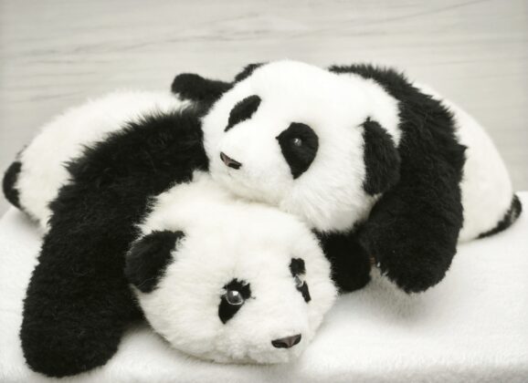 CES 2026人工智慧創新獎觀察