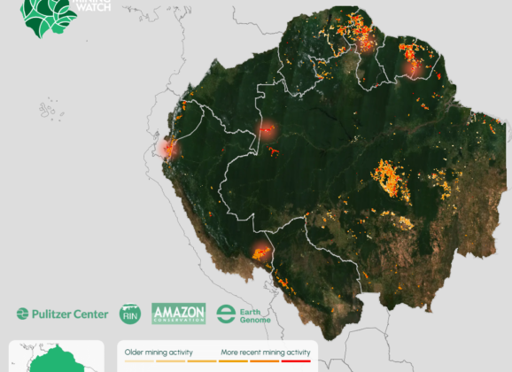 讓AI成為雨林金礦盜採防線：Amazon Mining Watch計畫介紹