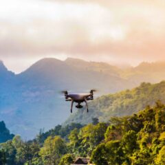 【Podcast】綠色守望者：AI 如何保護亞馬遜免於非法採金