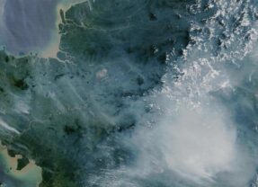 用數據守護森林：Global Forest Watch