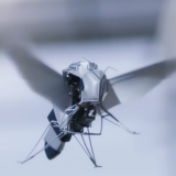 大自然的逆向工程：Festo用20年打造的仿生螞蟻、蜜蜂與水母