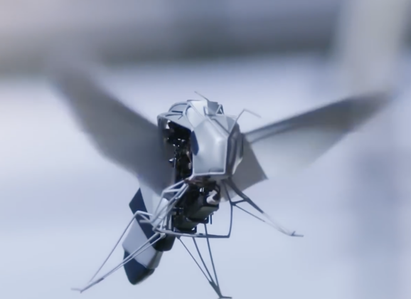 大自然的逆向工程：Festo用20年打造的仿生螞蟻、蜜蜂與水母