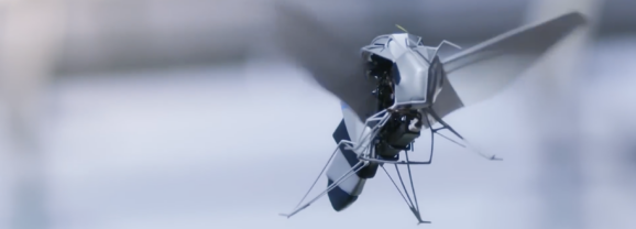 【Podcast】仿生機器人大軍：Festo 20 年打造的機械螞蟻、蜜蜂與水母