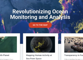 利用科技提升全球漁業透明度的Global Fishing Watch