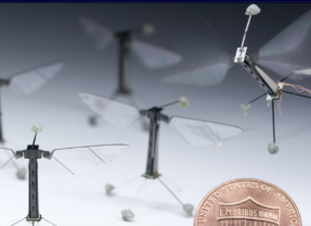 從實驗室飛向現實的機器昆蟲