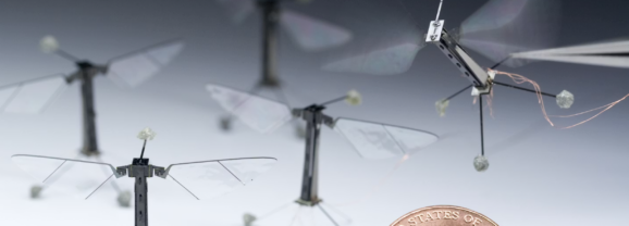 從實驗室飛向現實的機器昆蟲