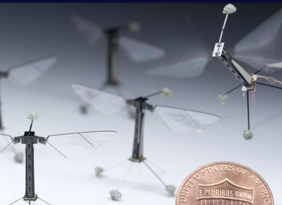 從實驗室飛向現實的機器昆蟲