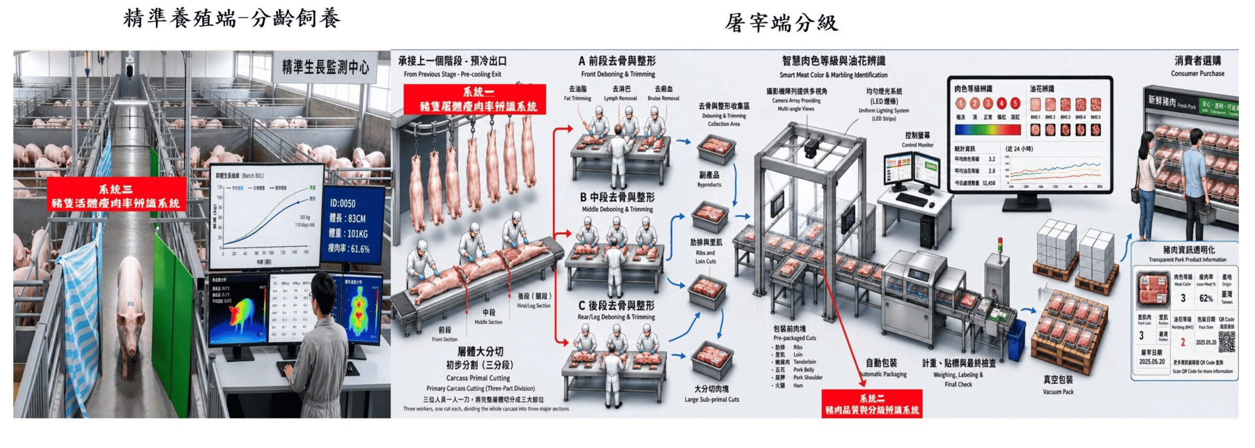 AI深度學習豬隻瘦肉量自動化檢測系統