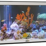 創客AI特技：10美元MCU跑LLM、用Tiny LLM跑虛擬水族箱