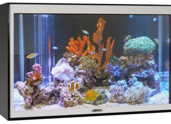創客AI特技：10美元MCU跑LLM、用Tiny LLM跑虛擬水族箱